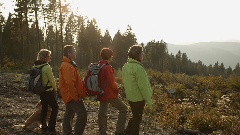 19.06. Winterberg wandern