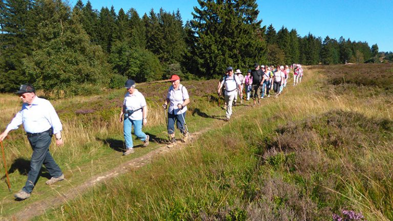 20.07. Olsberg Wandern 800