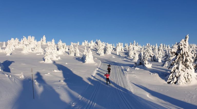 23 12 19 Trainingslager Norwegen 1 800