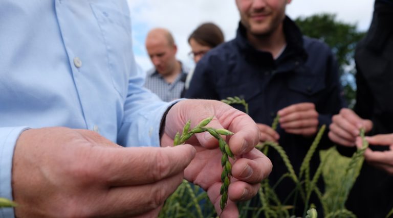 Landwirtschaft