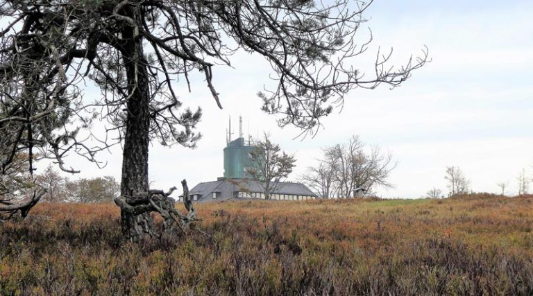 November 2020 auf dem Kahlen Asten