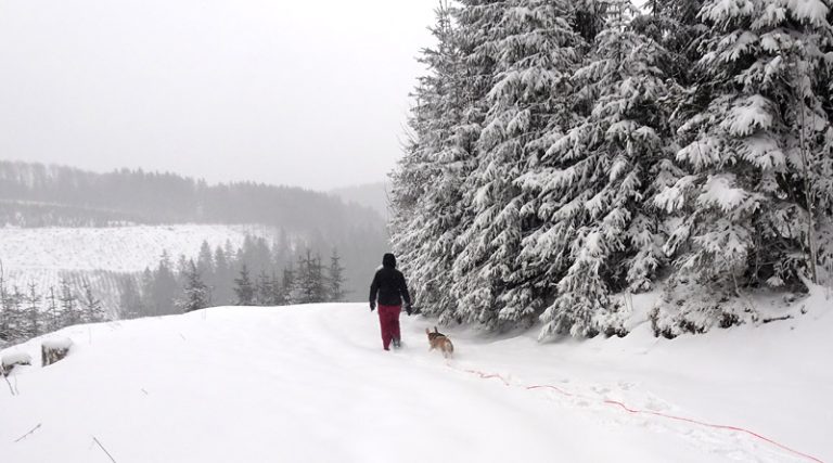 Neuschnee im Sauerland