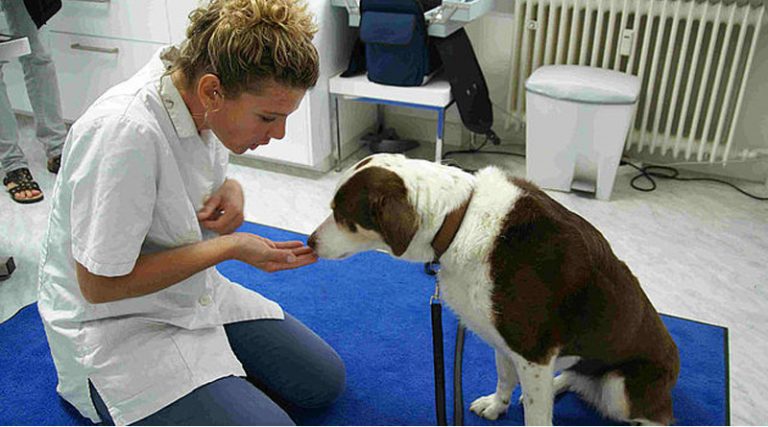 Dr. Tina Hölscher mit einem Patienten.