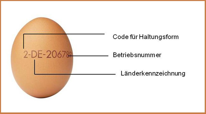Eier Kennzeichnung