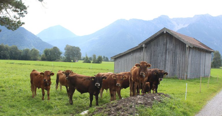 heimische Sorten und Rassen erhalten