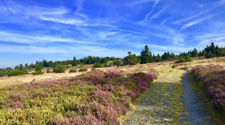 Sauerland und Upland