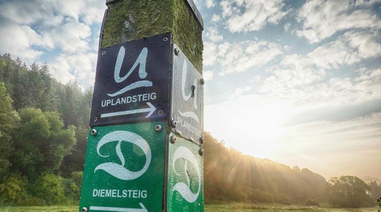 Wegweiser an Uplandsteig und Diemelsteig