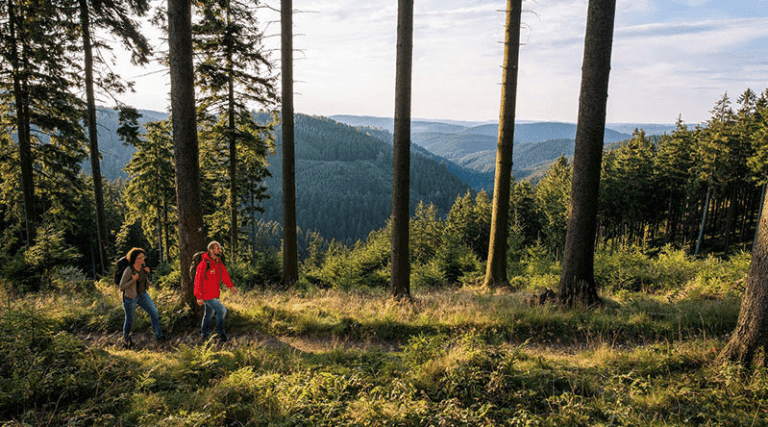 Bildschirmfoto