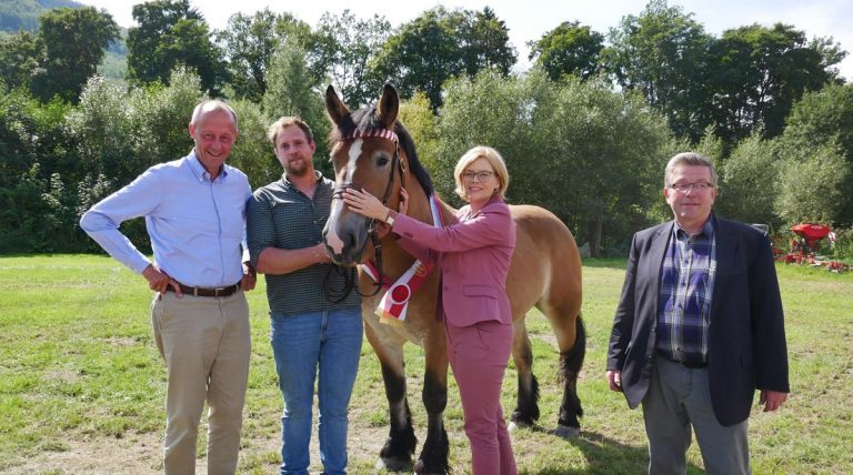 Gruppe mit Pferd