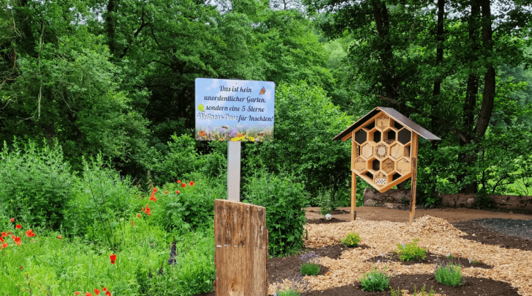 Insekten Wellness-Oase