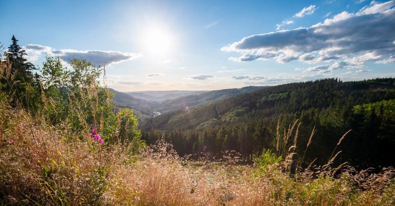 Sauerland Naturerlebnisse