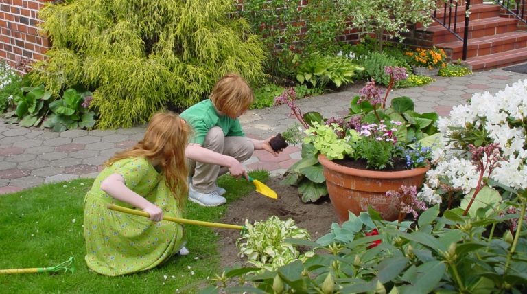 Spielplatz Garten