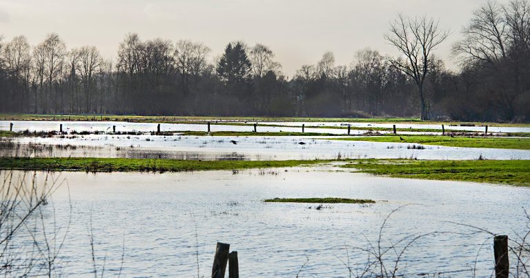 Hochwasser Entspannung