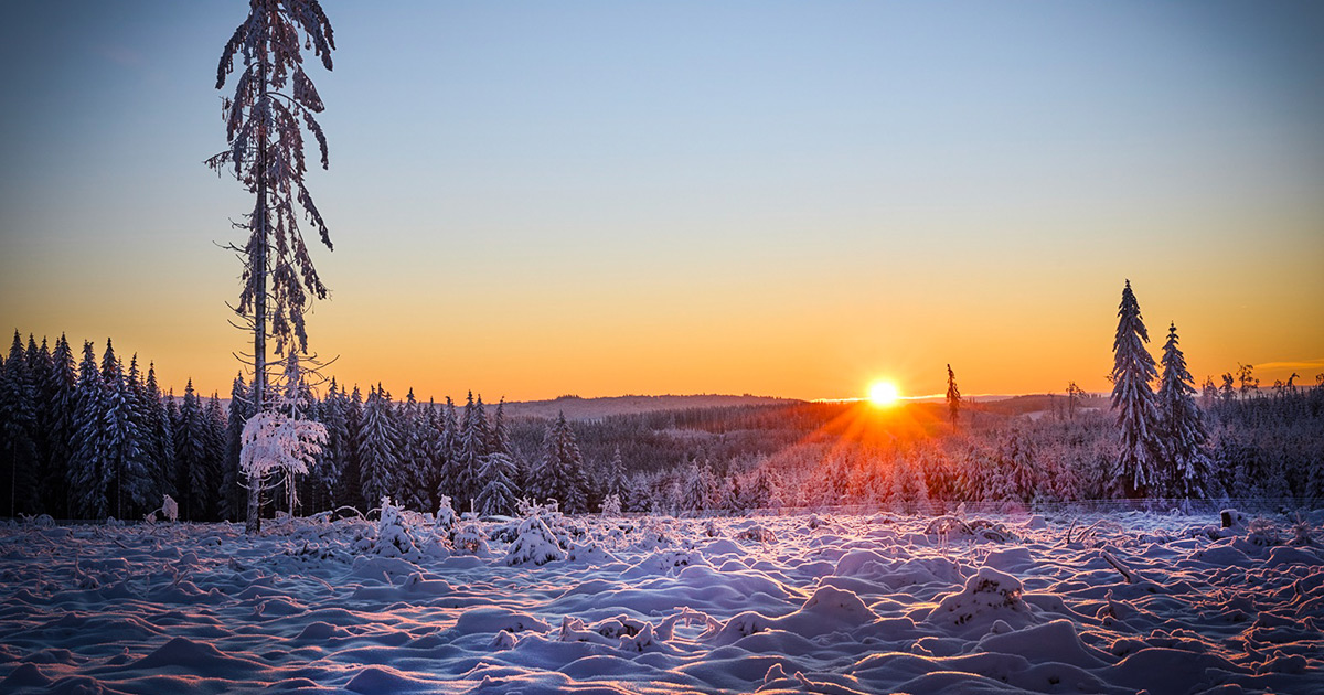 Winterlandschaft