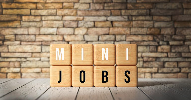 Mini Jobs