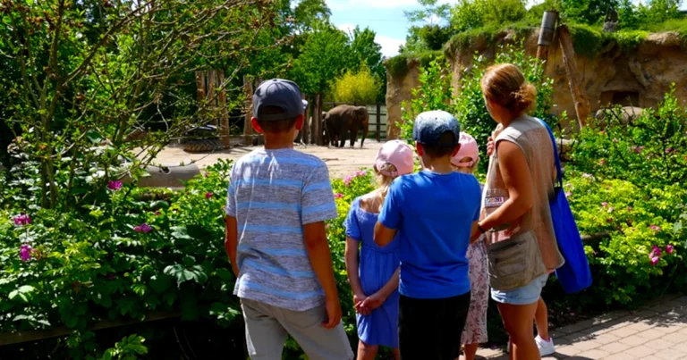 Naturnahe Bildung und gesellschaftliches Engagement