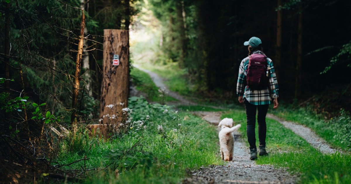 Auch Hunde sind auf dem Rothaarsteig und in den Qualitätsbetrieben entlang der Strecken herzlich willkommen. © Lara König